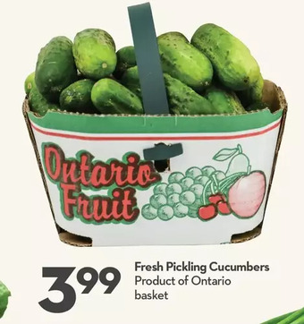 Longo's Fresh Pickling Cucumbers offer