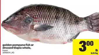 Real Canadian Superstore Golden Pompano Fish or Dressed Tilapia Whole offer