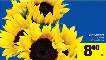 Real Canadian Superstore Sunflowers offer