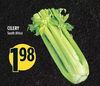 Marché Adonis Celery offer