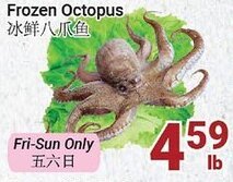 Oceans Fresh Food Market Frozen Octopus offer
