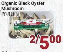 Oceans Fresh Food Market Organic Black Oyster Mushroom offer