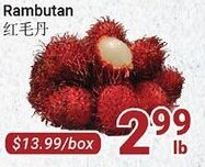 Oceans Fresh Food Market Rambutan offer