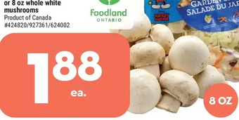 Giant Tiger 8 oz Whole White Mushrooms offer