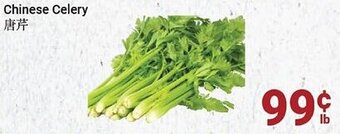 Oceans Fresh Food Market Chinese Celery offer
