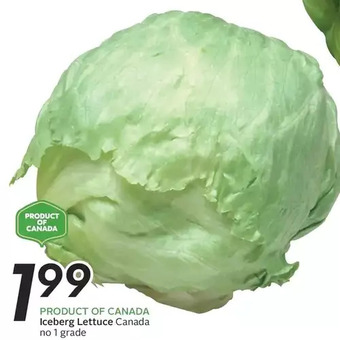 Sobeys Iceberg Lettuce offer
