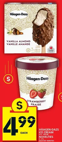 Food Basics Haagen-Dazs Ice Cream | Novelties offer