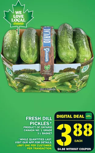 Food Basics Fresh Dill Pickles offer