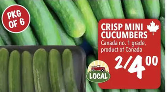 Farm Boy Crisp Mini Cucumbers offer