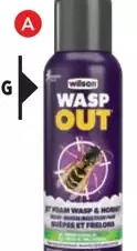 Lowe's Wilson Wasp and Hornet Insecticide Foam offer