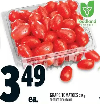 Metro Grape Tomatoes offer