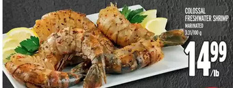 Metro Colossal Freshwater Shrimp offer