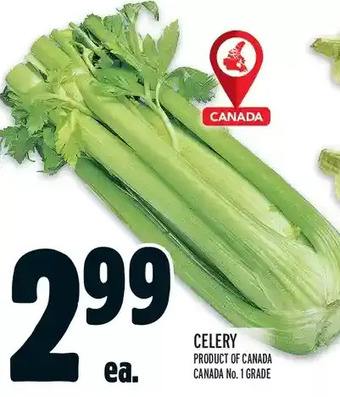 Metro Celery offer
