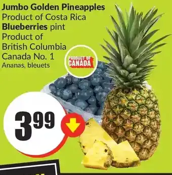 FreshCo Jumbo Golden Pineapples | Blueberries offer