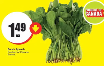 FreshCo Bunch Spinach offer