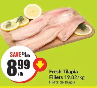 FreshCo Fresh Tilapia Fillets offer