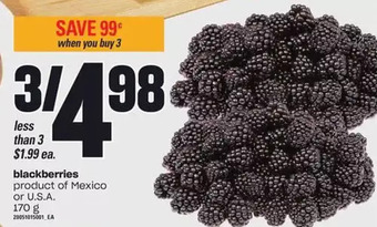 Loblaws Blackberries offer