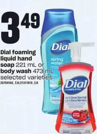 Loblaws Dial Foaming Liquid Hand Soap or Body Wash offer