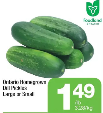 Highland Farms Ontario Homegrown Dill Pickles offer