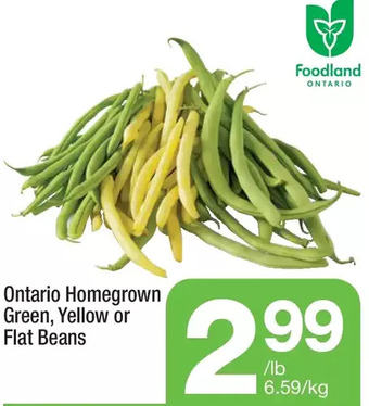 Highland Farms Ontario Homegrown Green, Yellow or Flat Beans offer