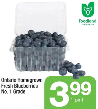 Highland Farms Ontario Homegrown Fresh Blueberries offer