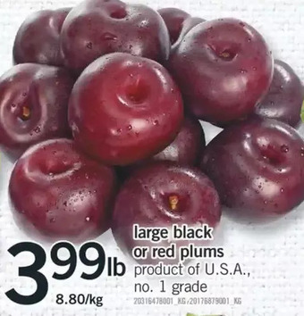Fortinos Large Black or Red Plums offer