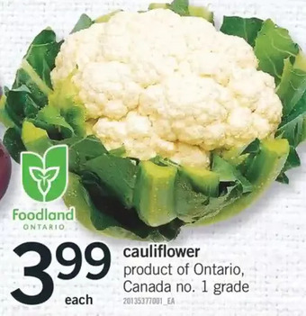 Fortinos Cauliflower offer