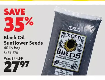 Home Hardware Black Oil Sunflower Seeds offer