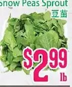 Grant's Foodmart Snow peas sprout offer