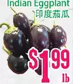 Indian eggplant