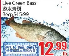 Hong Tai Supermarket Live green bass offer