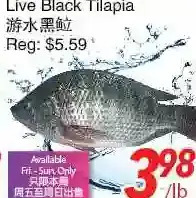 Foody World Live black tilapia offer