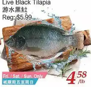 Tone Tai Supermarket Live black tilapia offer