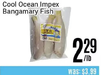 Nations Fresh Foods Cool ocean impex bangamary fish offer