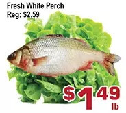 Top Food Supermarket Fresh white perch offer