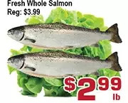 Top Food Supermarket Fresh whole salmon offer
