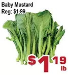 Top Food Supermarket Baby mustard offer
