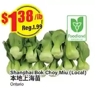 Btrust Supermarket Shanghai bok choy miu offer