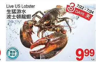 T&T Supermarket Live us lobster offer