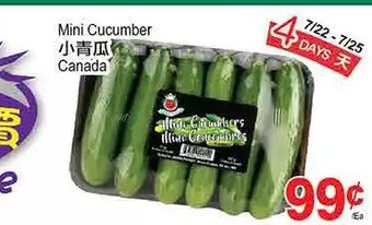 T&T Supermarket Mini cucumber offer