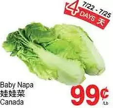 T&T Supermarket Baby napa offer