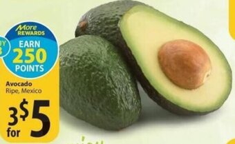 Save on Foods Avocado offer