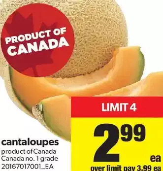 Real Canadian Superstore Cantaloupes offer
