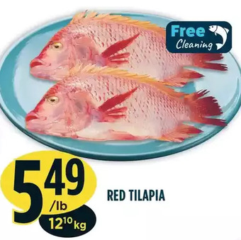 Marché Adonis Red tilapia offer