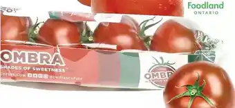Giant Tiger 1 lb ombra tomatoes offer