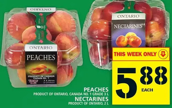 Food Basics Peaches | nectarines offer