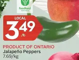Foodland Jalapeno peppers offer