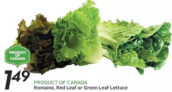 Sobeys Rommaine, red leaf or green leaf lettuce offer