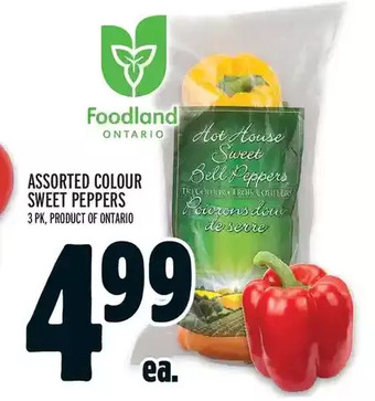 Metro Sweet peppers offer