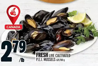 Metro Fresh live cultivated p.e.i. mussels offer